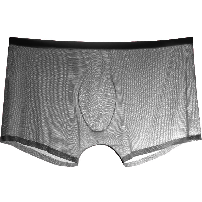 Trunk Breathable Men - กางเกงบ็อกเซอร์ชาย กางเกงในชายบางเบาสำหรับผู้ชายสุดฮอต บิกินี่ผ้าทูลล์ ระบายอากาศ กางเกงในตาข่ายซิสซี่ กางเกงในซีทรูบางเบา