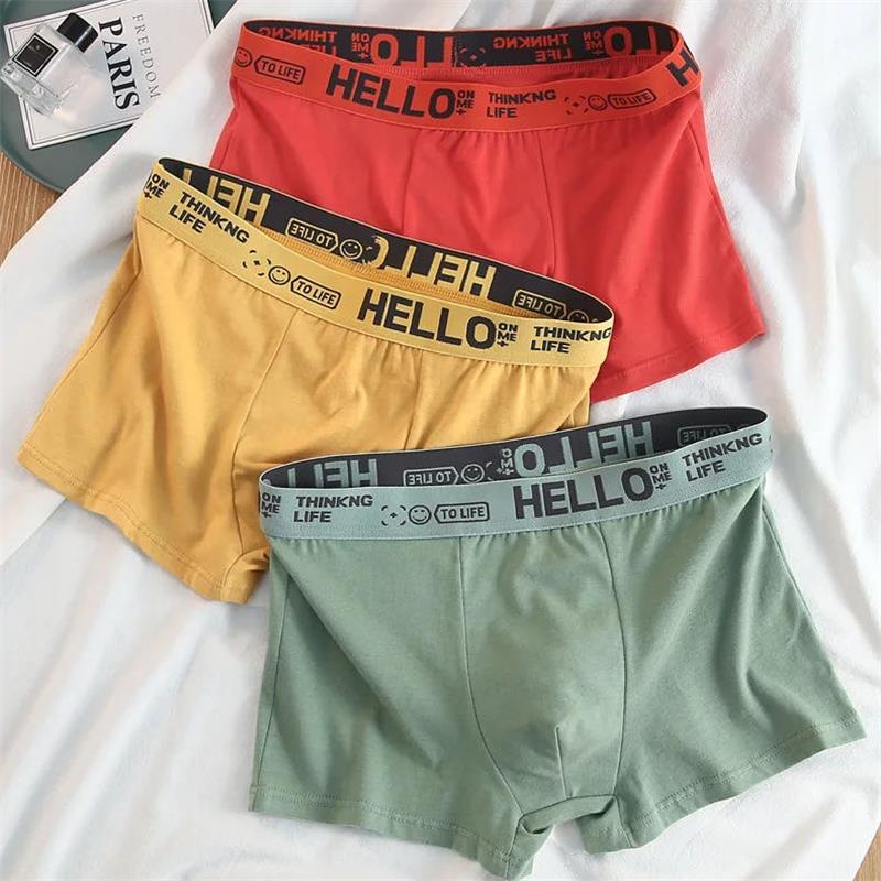 10 ชิ้น/ ชุดชั้นในชาย กางเกงใน - Boxer Brief Pack Cotton บทวิจารณ์และราคา